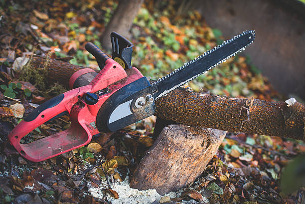 Best Hazardous Tree Removal  in Montgomeryville, PA